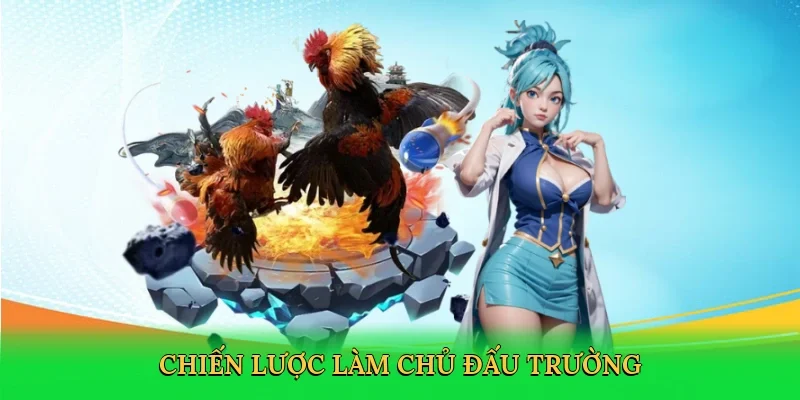 Chiến lược làm chủ đấu trường