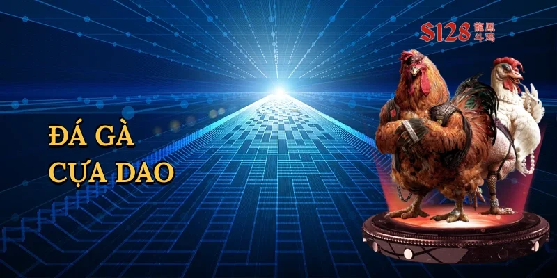 Đá gà cựa dao