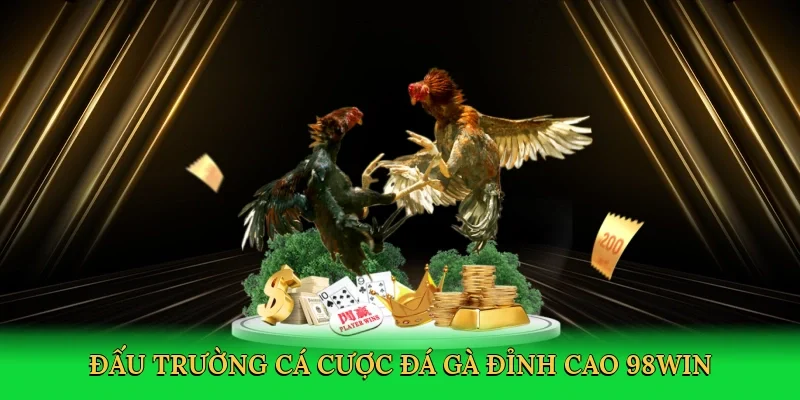 Đấu trường cá cược đá gà đỉnh cao 98win