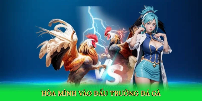 Hòa mình vào đấu trường đá gà