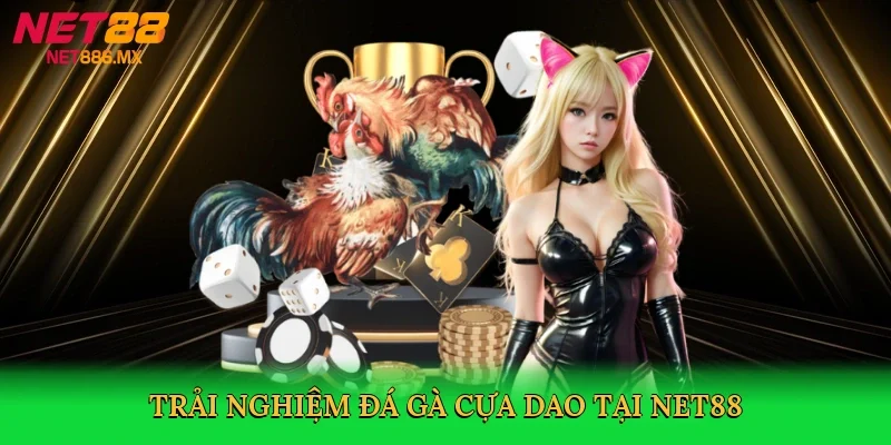trai-nghiem-da-ga-cua-dao-tai-net88-2