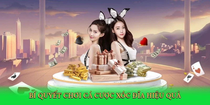 Bí quyết chơi cá cược xóc đĩa hiệu quả